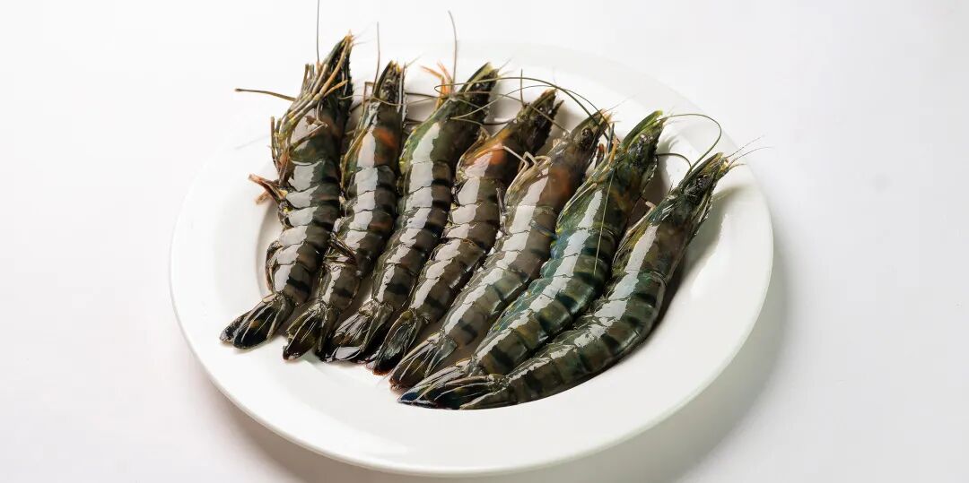 中国·ca888亚洲城(股份有限公司)-Mobile Website